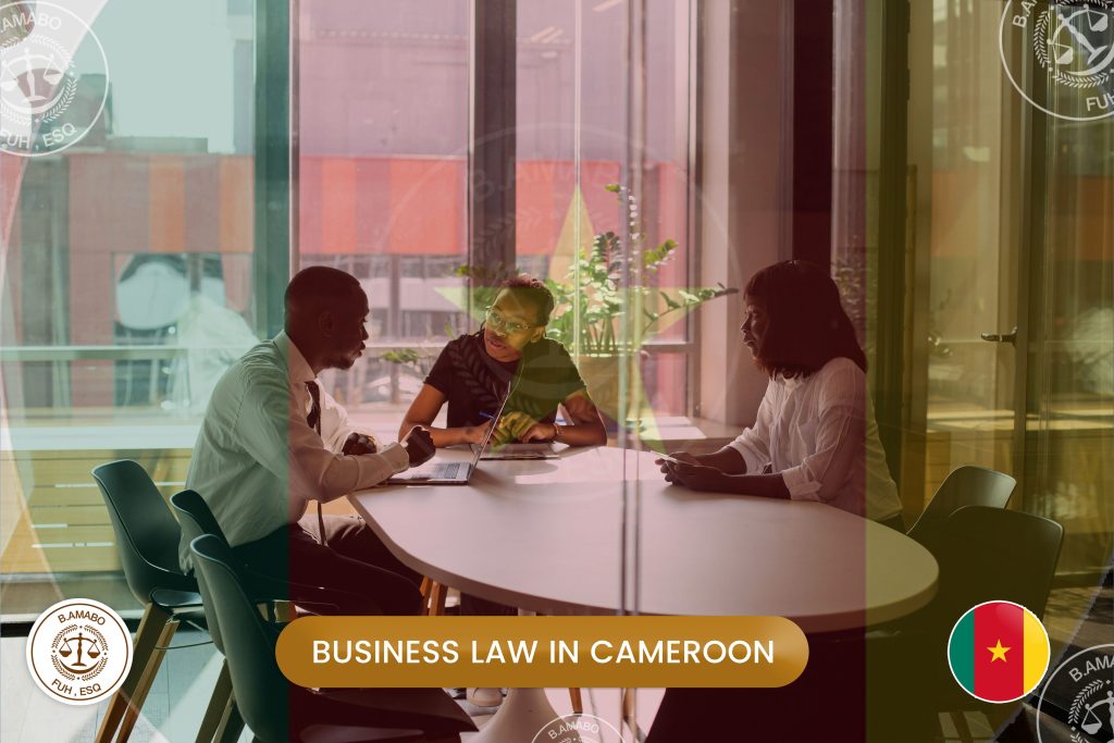 business law in cameroon