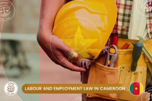 labour and employment law in cameroon