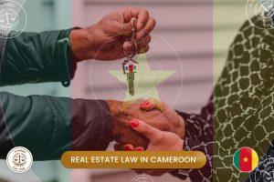 real estate law in cameroon