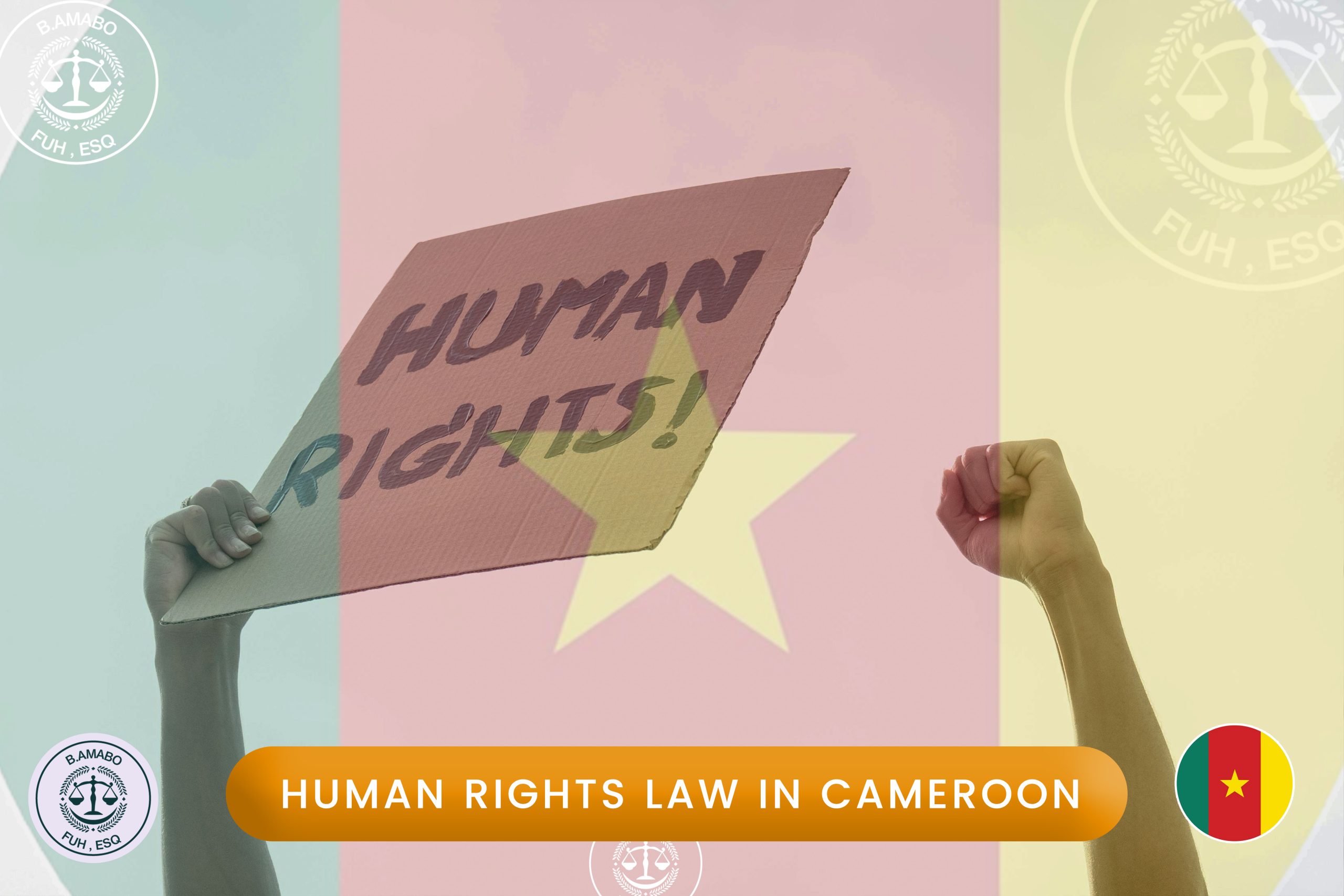 human rights law in cameroon
