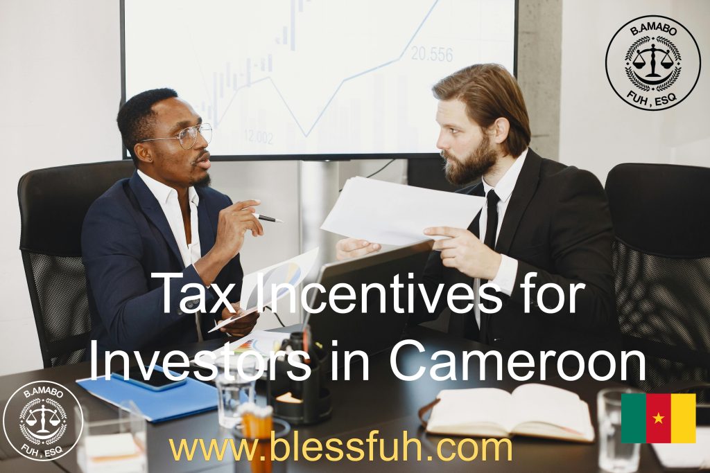 tax incentives for investors in Cameroon