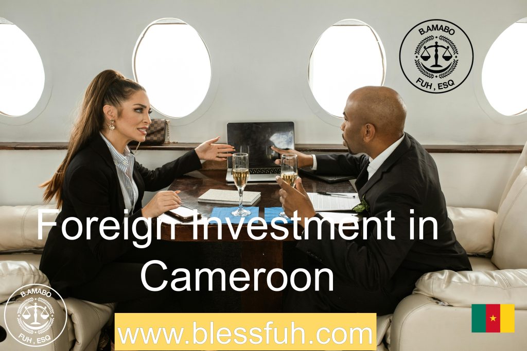 Foreign Investment in Cameroon