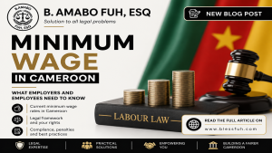 guaranteed minimum wage in cameroon