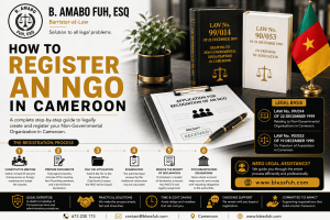 how to register an NGO in Cameroon